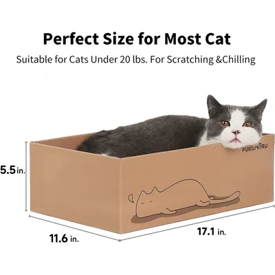 Fukumaru carton à gratter pour chat