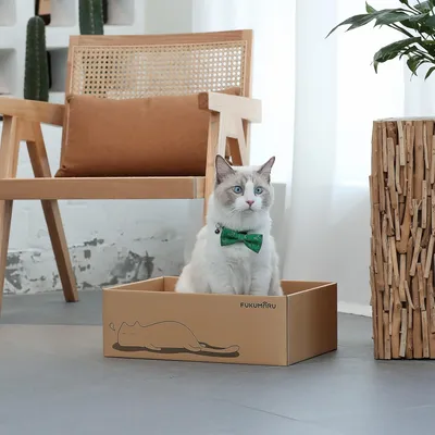 Fukumaru carton à gratter pour chat