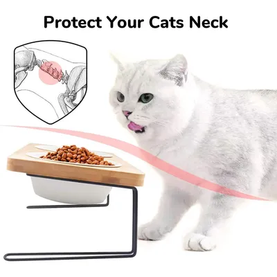 FUKUMARU Gamelle en céramique et support en bambou