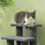 PawHut - escalier chat 4 marches