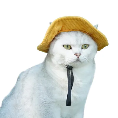 ZenPets Chapeau réglable en velours côtelé pour chien et chat ZenPets Chapeau réglable en velours côtelé pour chien et chat