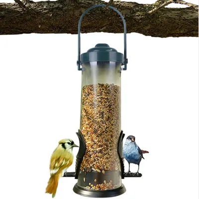 ZenPets Nourrisseur d'oiseaux automatique