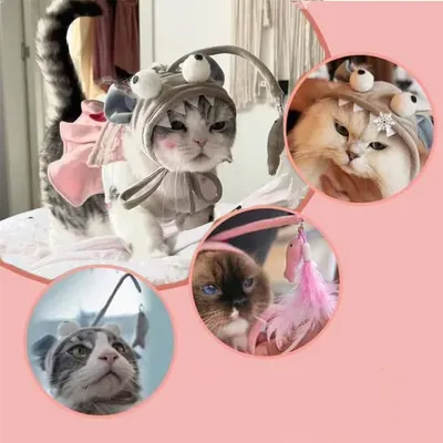 IntiMeg Chapeau de Poisson de Chat