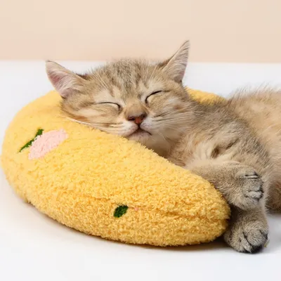 ZenPets Oreiller lunaire pour chien et chat