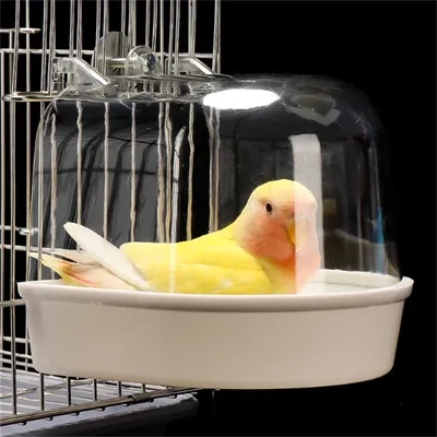 ZenPets Bain d'oiseaux