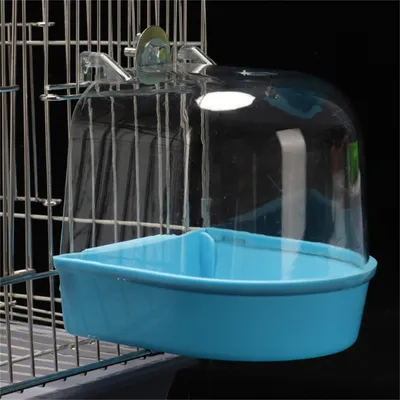ZenPets Bain d'oiseaux