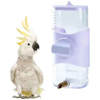 MCBOSON Alimentateur automatique pour oiseaux - Grande capacité