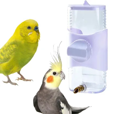 MCBOSON Alimentateur automatique pour oiseaux - Grande capacité