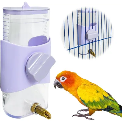 MCBOSON Alimentateur automatique pour oiseaux - Grande capacité
