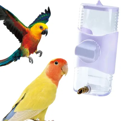 MCBOSON Alimentateur automatique pour oiseaux - Grande capacité
