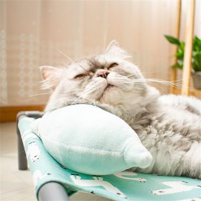 IntiMeg Nid pour animaux de compagnie