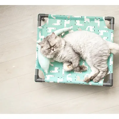 IntiMeg Nid pour animaux de compagnie