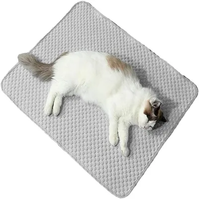IntiMeg Tapis rafraîchissant pour animaux de compagnie
