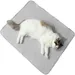 IntiMeg Tapis rafraîchissant pour animaux de compagnie