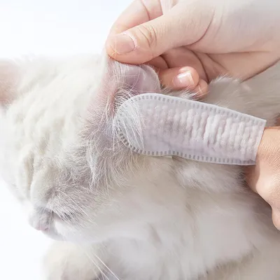 Lingettes nettoyantes dents et oreilles