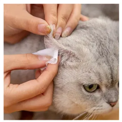 ZenPets Lingettes nettoyantes pour les oreilles