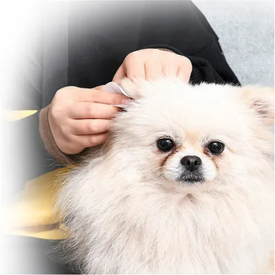 ZenPets Lingettes nettoyantes pour les oreilles