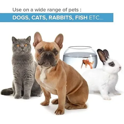 Institut Katharos Flacon & Spray Anti Démangeaison - Argent Colloïdal