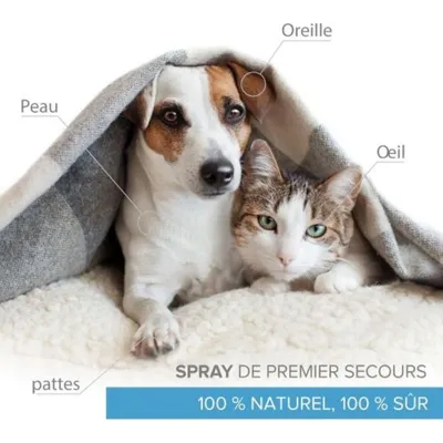 Institut Katharos Flacon & Spray Anti Démangeaison - Argent Colloïdal