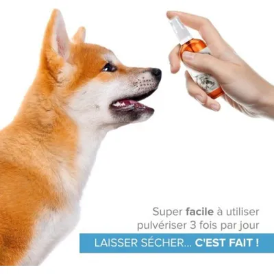 Institut Katharos Flacon & Spray Anti Démangeaison - Argent Colloïdal