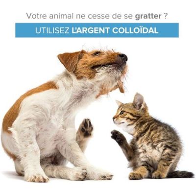 Institut Katharos Flacon & Spray Anti Démangeaison - Argent Colloïdal
