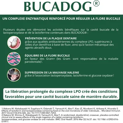 OSALIA - BUCADOG-SCHEIBEN - OSALIA OSALIA - BUCADOG-SCHEIBEN - OSALIA