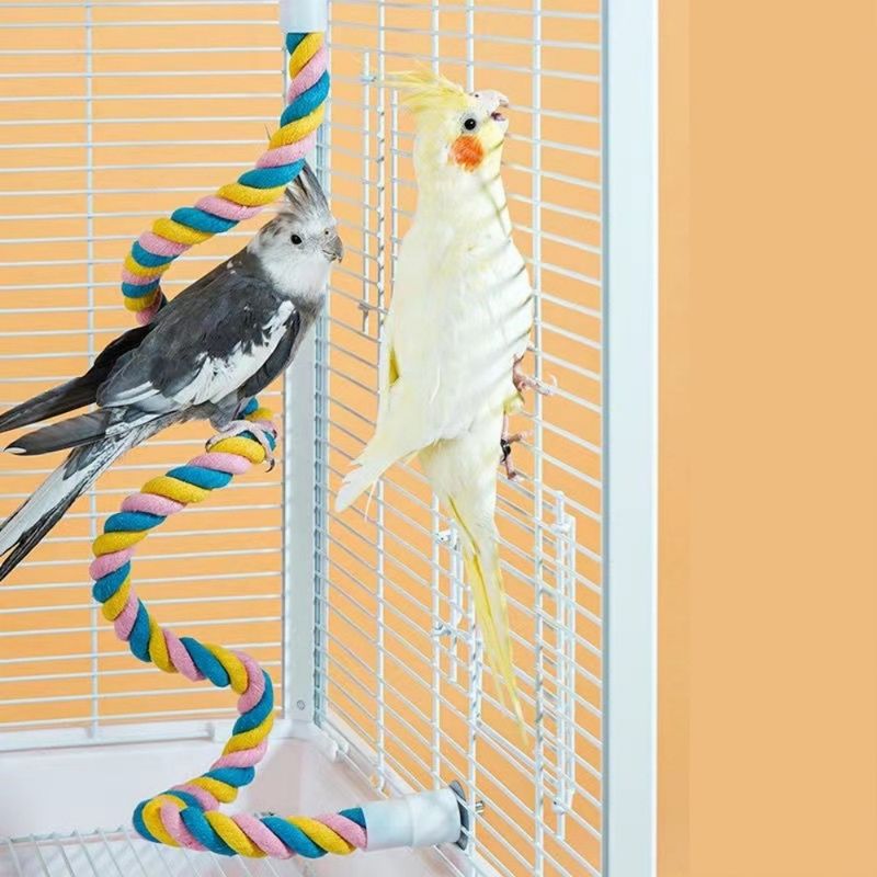 ZenPets Corde en coton pour perroquet à grimper