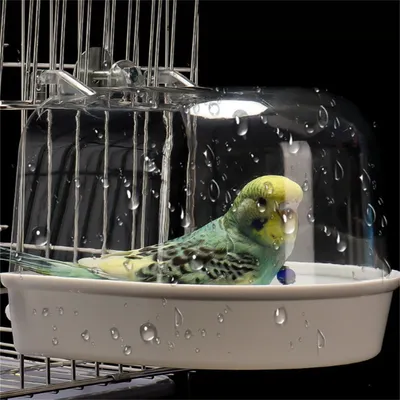 ZenPets Bain d'oiseaux