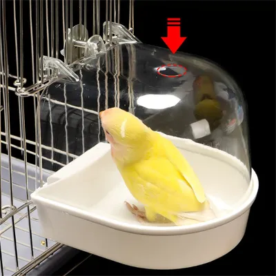 ZenPets Bain d'oiseaux