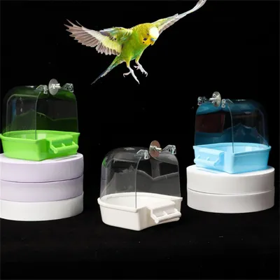 ZenPets Bain d'oiseaux