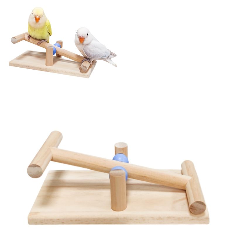 ZenPets Bascule pour perroquet