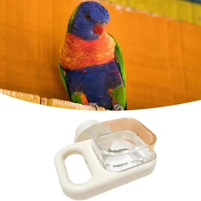 IntiMeg Mangeoire à oiseaux suspendue