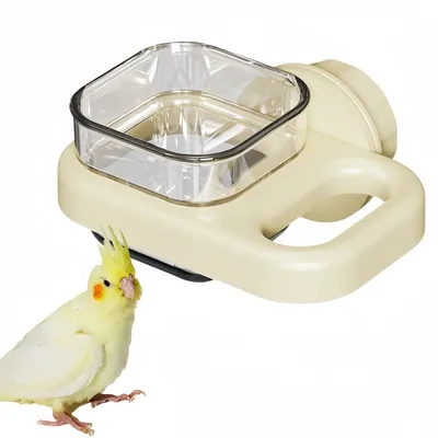 IntiMeg Mangeoire à oiseaux suspendue