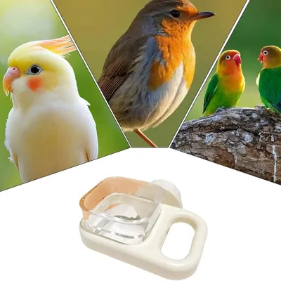 IntiMeg Mangeoire à oiseaux suspendue