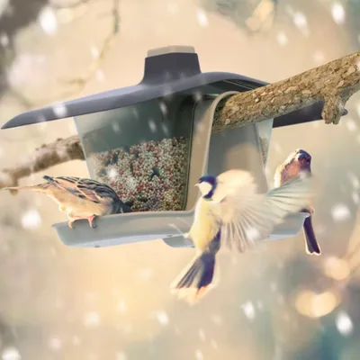 Prosperplast BirdyFeed Mangeoire double pour canards en plastique