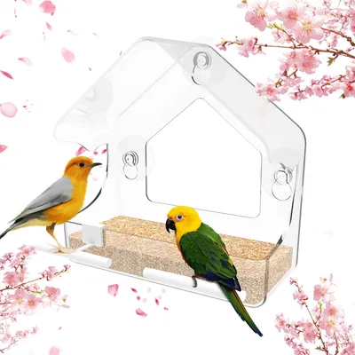 ZenPets Nourrisseur pour oiseaux en acrylique mural