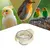 3 Pack - Feeder pour cage d'oiseaux - Plastique, portable, avec serre