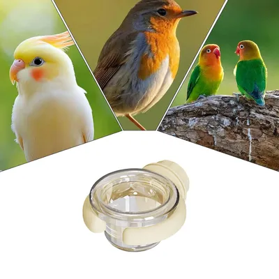 3 Pack - Feeder pour cage d'oiseaux - Plastique, portable, avec serre