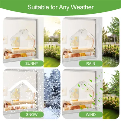 ZenPets Nourrisseur pour oiseaux en acrylique mural