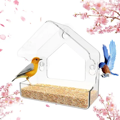 ZenPets Nourrisseur pour oiseaux en acrylique mural