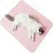 IntiMeg Tapis rafraîchissant pour animaux de compagnie