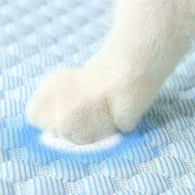 IntiMeg Tapis rafraîchissant pour animaux de compagnie