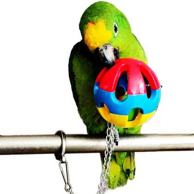 IntiMeg Ensemble de trois jouets à mâcher pour oiseaux