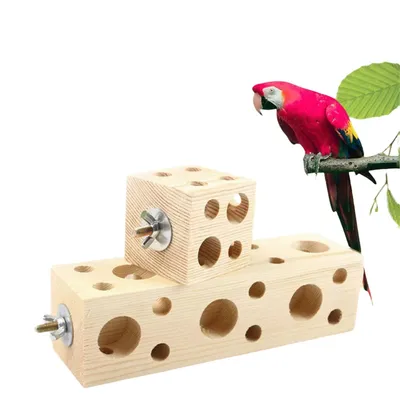 ZenPets Blocs de bois de pin pour perroquet à mordre