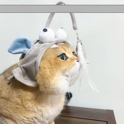 IntiMeg Chapeau de Poisson de Chat