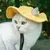 ZenPets Chapeau réglable en velours côtelé pour chien et chat ZenPets Chapeau réglable en velours côtelé pour chien et chat