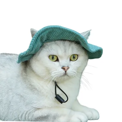 ZenPets Chapeau réglable en velours côtelé pour chien et chat ZenPets Chapeau réglable en velours côtelé pour chien et chat