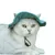 ZenPets Chapeau réglable en velours côtelé pour chien et chat ZenPets Chapeau réglable en velours côtelé pour chien et chat