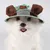 ZenPets Chapeau de soleil pour chat ZenPets Chapeau de soleil pour chat