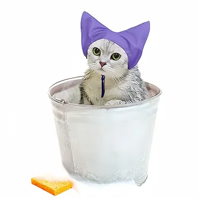 ZenPets Bonnet de bain waterproof pour chats ZenPets Bonnet de bain waterproof pour chats